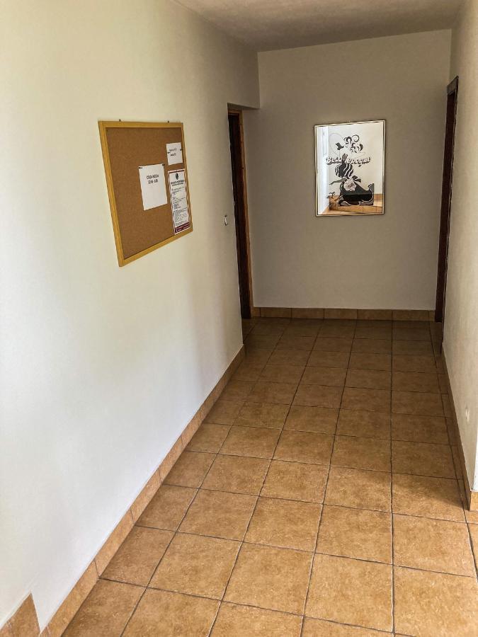 Pokoje Goscinne Walus Murzasichle Exterior foto